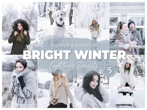 Download Lightroom Preset Bright Winter - Bright Collection