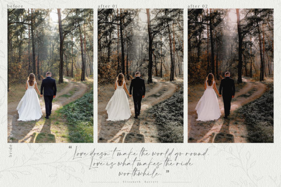 Download 10 Rustic Wedding LR Presets - Wedding Collection